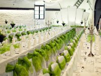 2013-05-25 14-46-42 copy